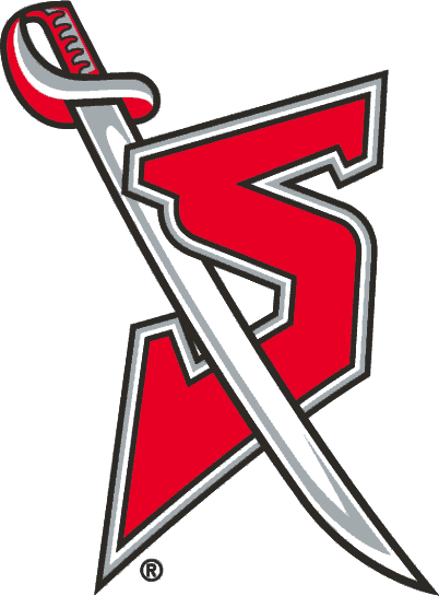 Buffalo Sabres 1996-1999 Alternate Logo fabric transfer